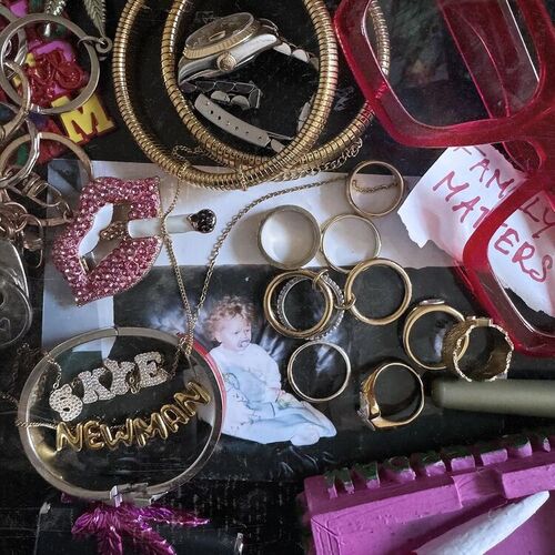 Family Matters از Skye Newman