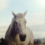 We Rise And Fall از Sondae