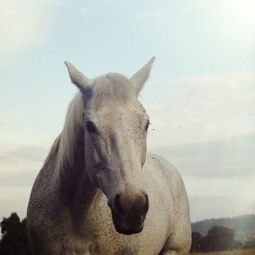 We Rise And Fall از Sondae