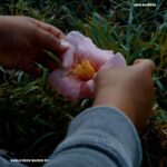 Eagle Rock, March 21st از Kris Bowers