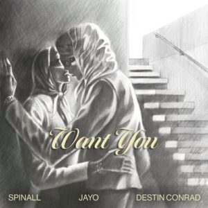 Want You (feat. DESTIN CONRAD & JayO) از SPINALL