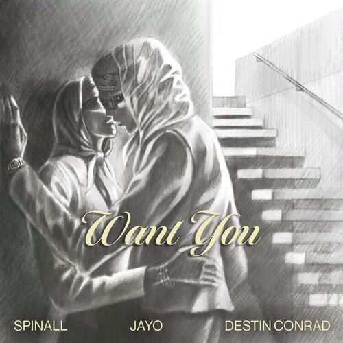 Want You (feat. DESTIN CONRAD & JayO) از SPINALL