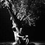 Sycamore Tree از Khamari