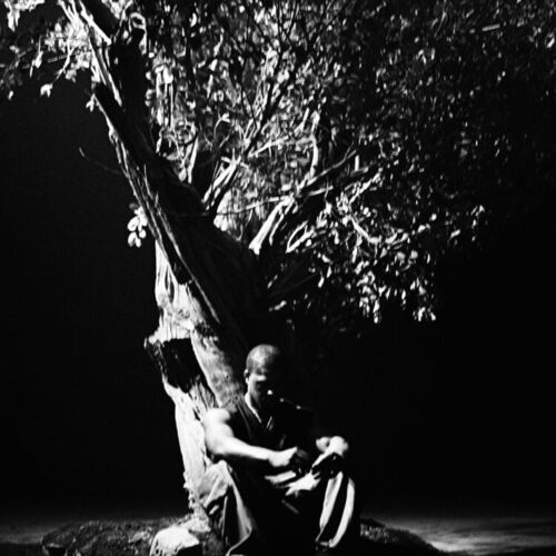 Sycamore Tree از Khamari