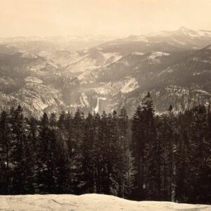 The Invitation از Tenielle Neda