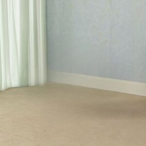 mangetout از Wet Leg