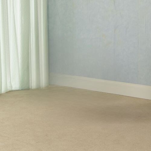 mangetout از Wet Leg