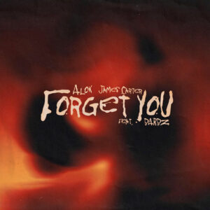 Forget You (feat. BARBZ) از Alok