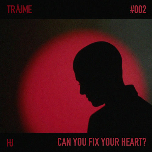 Can You Fix Your Heart? از HU