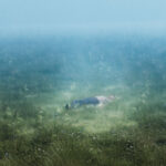 lagrange point از Øneheart