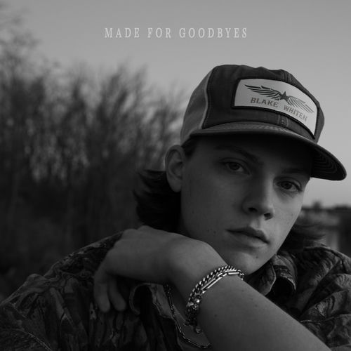 Made for Goodbyes از Blake Whiten