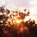 classic love از Luke Roberts