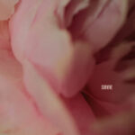 Survive از Lewis Capaldi