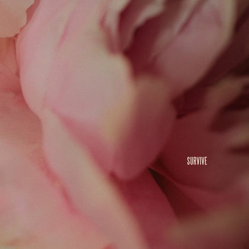 Survive از Lewis Capaldi