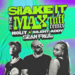 Shake It To The Max (Tuff Remix) از Moliy