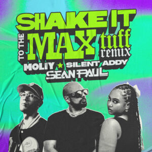 Shake It To The Max (Tuff Remix) از Moliy