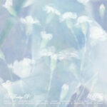 The 1st Album 'A Montage of ( )' از VIVIZ