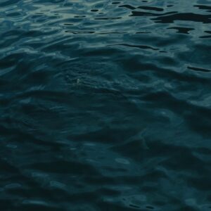 COSITA LINDA از ELENA ROSE