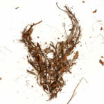 Death, A Destination از Demon Hunter