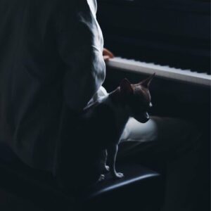 Idea 22 (Slowed + Reverb) از Gibran Alcocer