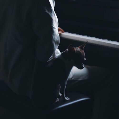 Idea 22 (Slowed + Reverb) از Gibran Alcocer