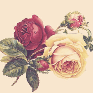 Other Side از WizTheMc