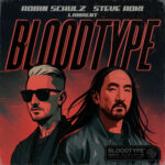 Bloodtype از Robin Schulz
