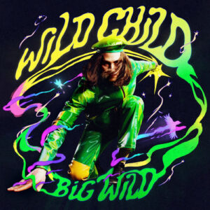 Stardust از Big Wild