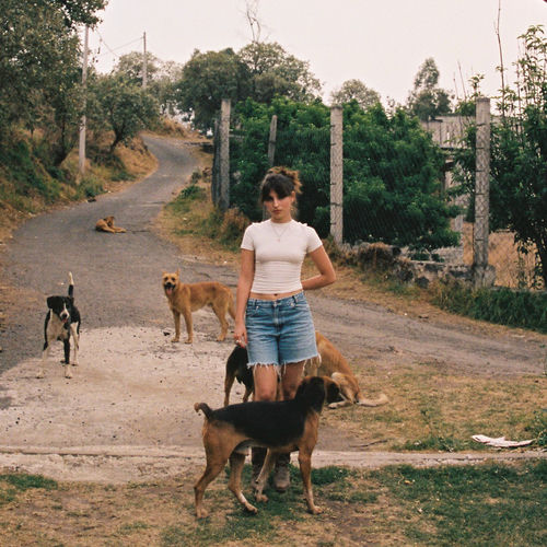 Like The Rain از Andrea Bejar