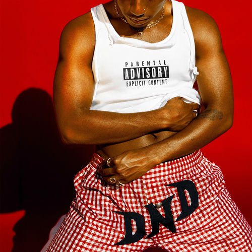 DND (Single) از Reggie Becton