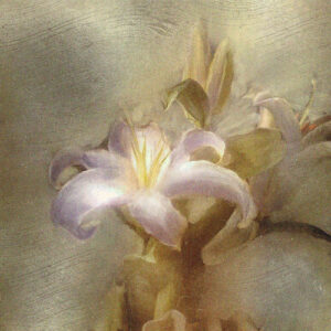 flower از Yung Kai