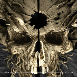 On My Side از Demon Hunter