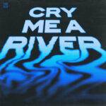 Cry Me A River از Steve Aoki