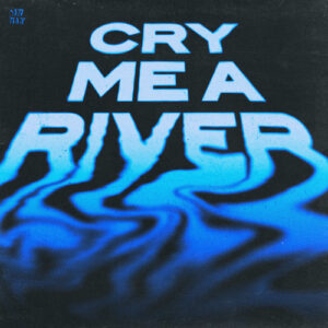 Cry Me A River از Steve Aoki