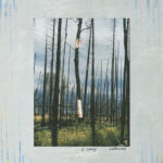 Watercress از S. Carey