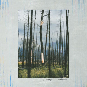 Watercress از S. Carey