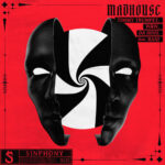 Madhouse (feat. RANI) از Timmy Trumpet
