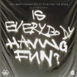 Is Everybody Having Fun? (feat. rhys from the sticks) (bullet tooth Remix) از John Summit