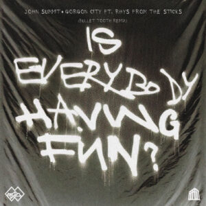 Is Everybody Having Fun? (feat. rhys from the sticks) (bullet tooth Remix) از John Summit