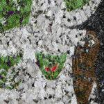 Braces از fakemink