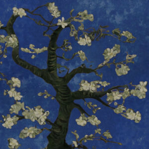 oh to be loved از JVKE