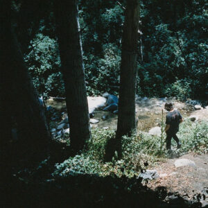 Wolves of Worry از Chance Peña