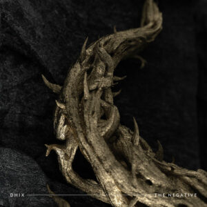 The Negative از Demon Hunter