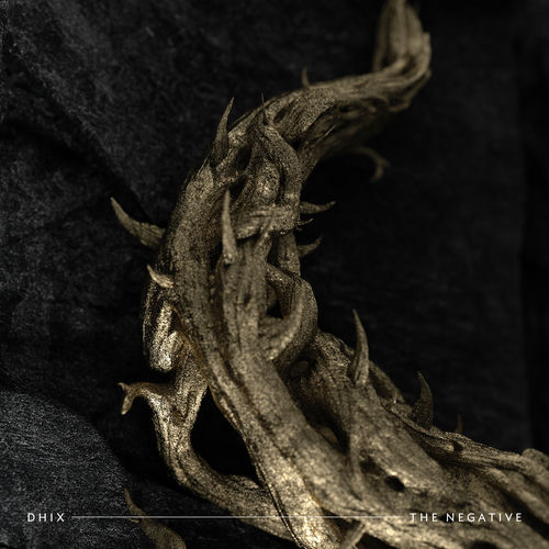 The Negative از Demon Hunter