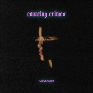 counting crimes از Nessa Barrett