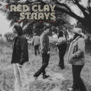 Devil In My Ear از The Red Clay Strays