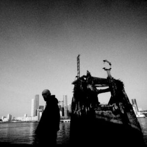 Petals از Mark William Lewis