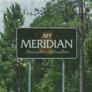 My Meridian از Muscadine Bloodline