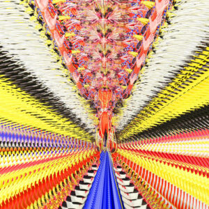 What Is The Reason For It? از David Byrne