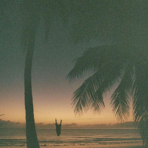 The Light in the Forest از bbbluelee